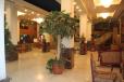 Royal El Naser Hotel image 6